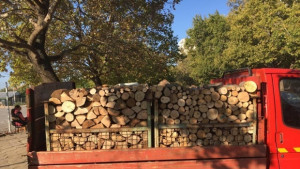 Откриха незаконна дървесина в сПоп Груево