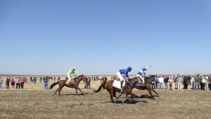 Над 30 чистокръвни коня се надбягваха край Варна СНИМКИ