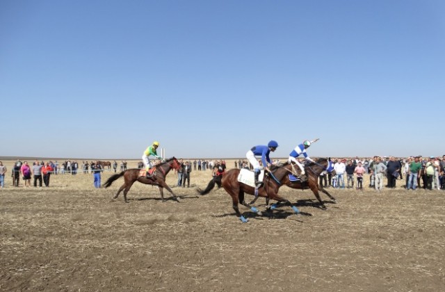 Над 30 чистокръвни коня се надбягваха край Варна (СНИМКИ)