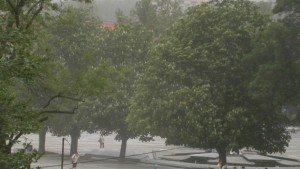 Жълт код за бурен вятър в Плевен и Ловеч
