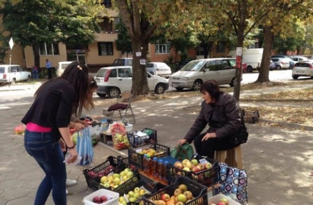 Млади социалисти с призив Купи от баба - помогни на себе си