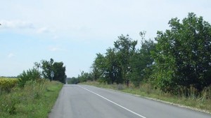 20годишен потроши скъпа кола на пътя ДобричВарна