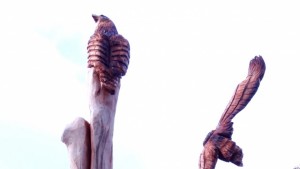 Превърнаха изсъхнало дърво в атракция в Нова Загора