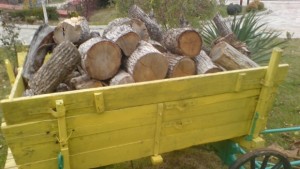 Арестуваха седем каруци с крадени дърва