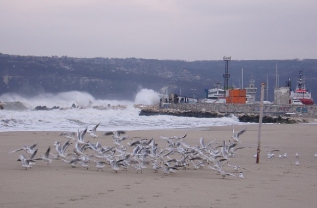 Порт Варна затворен заради силния вятър