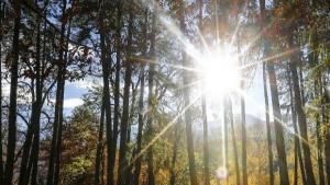 Температурите днес между 7 и 14 градуса