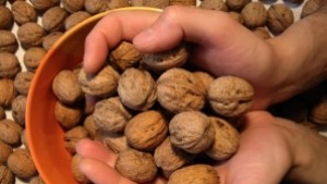 Орехов фестивал в Казанлъшко