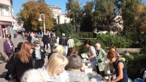 От дружество Майчина грижа отново събират средства за подпомагане на