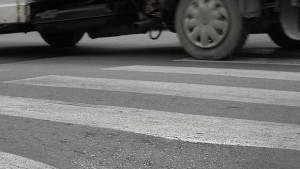 Парадокс Убито на зебра момиче дължи пари за глоба