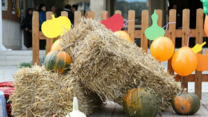 Базар на тиквата