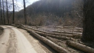 Кмет поиска 50 от концесиите на минерални извори камиони разбивали