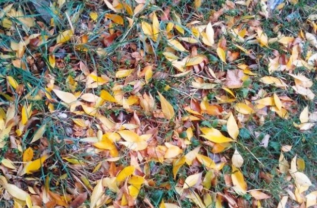 Слънчево, но ветровито