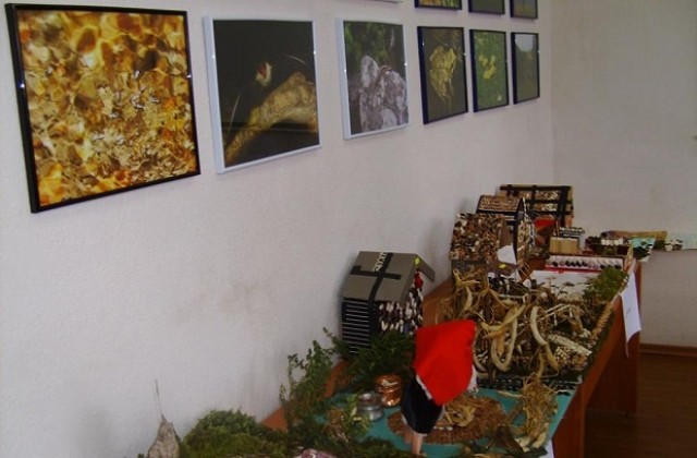 Конкурс за най-оригинално пано от смилянски боб обявиха в Родопите