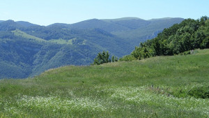 Община Враца организира Поход събор Речка