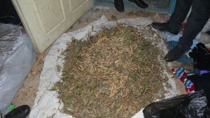 Задържаха наркоразпространители във видинско