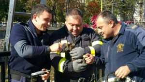 Ако всеки работеше така то България щеше да е едно