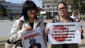 Приятели на животните искат затвор за убиеца на котки Живко