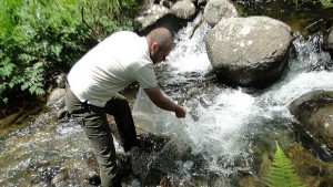 Есенно зарибяване с балканска пъстърва