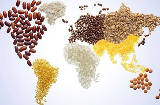 16 октомври - Световен ден на прехраната