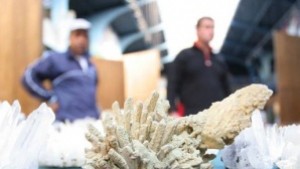 Чудното изкуство на природата в минерали и фосили