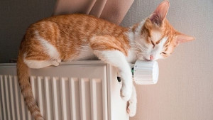 Пуснаха парното на детските градини и ясли в Сливен