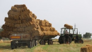 54годишен мъж загина затиснат от бали слама