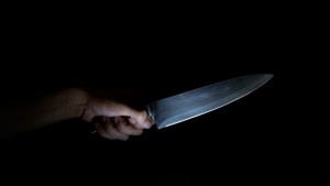 Крадец закла отмъкнатите 15 кокошки и петел