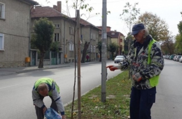 145 фиданки засаждат в Севлиево