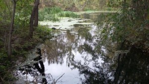 Кмет откри извор до древни руини