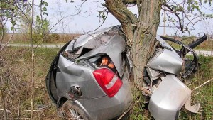 18годишна шофьорка размаза кола в дърво пострада леко заедно с
