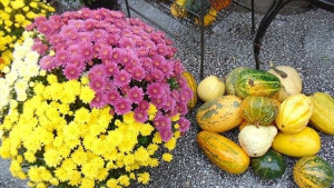 Времето на 21 октомври Облачно с превалявания