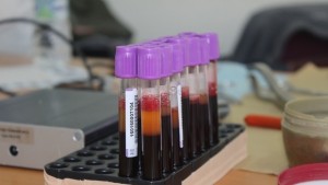 Акция за кръводаряване в пловдивския район ЮЖЕН