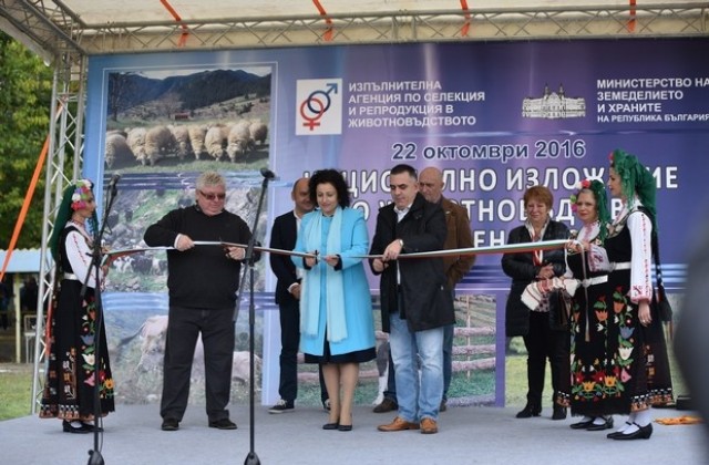 Край Сливен се проведе най-мащабното изложение по животновъдство в България