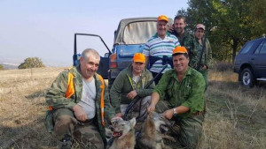 Край Славяново отстреляха вълци нападнали над 20 животни