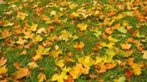 Облачно но топло в понеделник