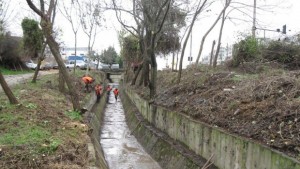 Обработват шахтите и деретата във Варна срещу гризачи