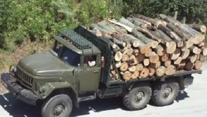 Задържаха ЗИЛ с незаконно придобити 10 кубика дърва