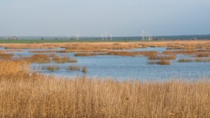 Самоходна машина ще спасява риби и птици в Шабленското и