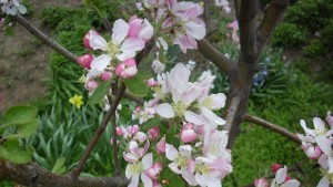 Семинар по овощарство се провежда в Областна администрация