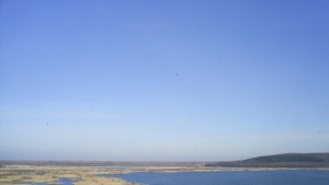 Заловиха двама бракониери в Сребърна