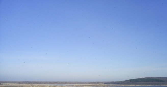 Отново бракониерски лов е бил засечен от инспектори на Изпълнителната