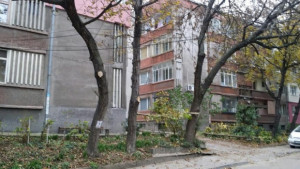 Община Свищов е готова за зимата