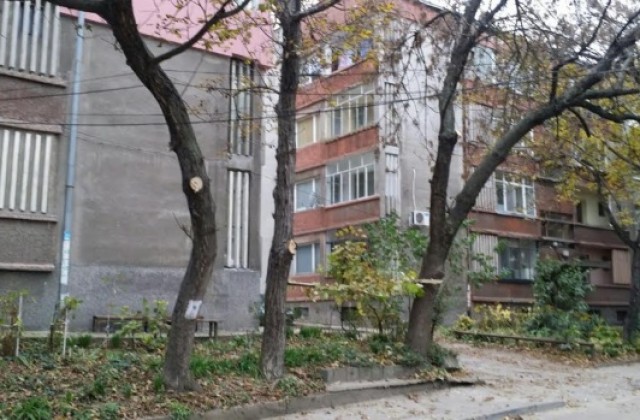 Община Свищов е готова за зимата