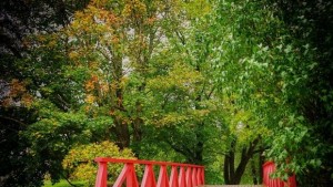 В Холандия построиха първия биомост в света