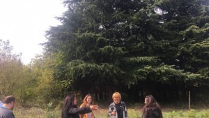 Мая МаноловаЗащитниците на Бедечка са обект на заплахи