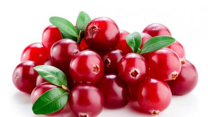 Учени развенчаха теория за ползата от червените боровинки