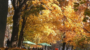 На места ще се покаже слънце затопля се