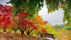 Какво време ни очаква през ноември