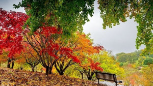 Какво време ни очаква през ноември