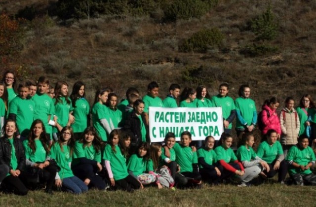 Ученици залесяват в инициативата на ЮЗДП  „Растем заедно с нашата гора”